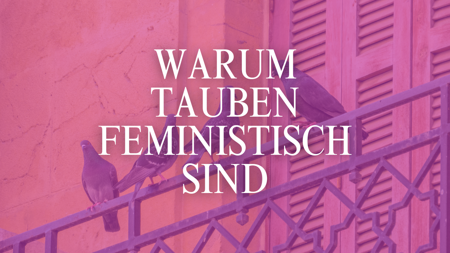 Was haben Tauben mit Feminismus zu tun?