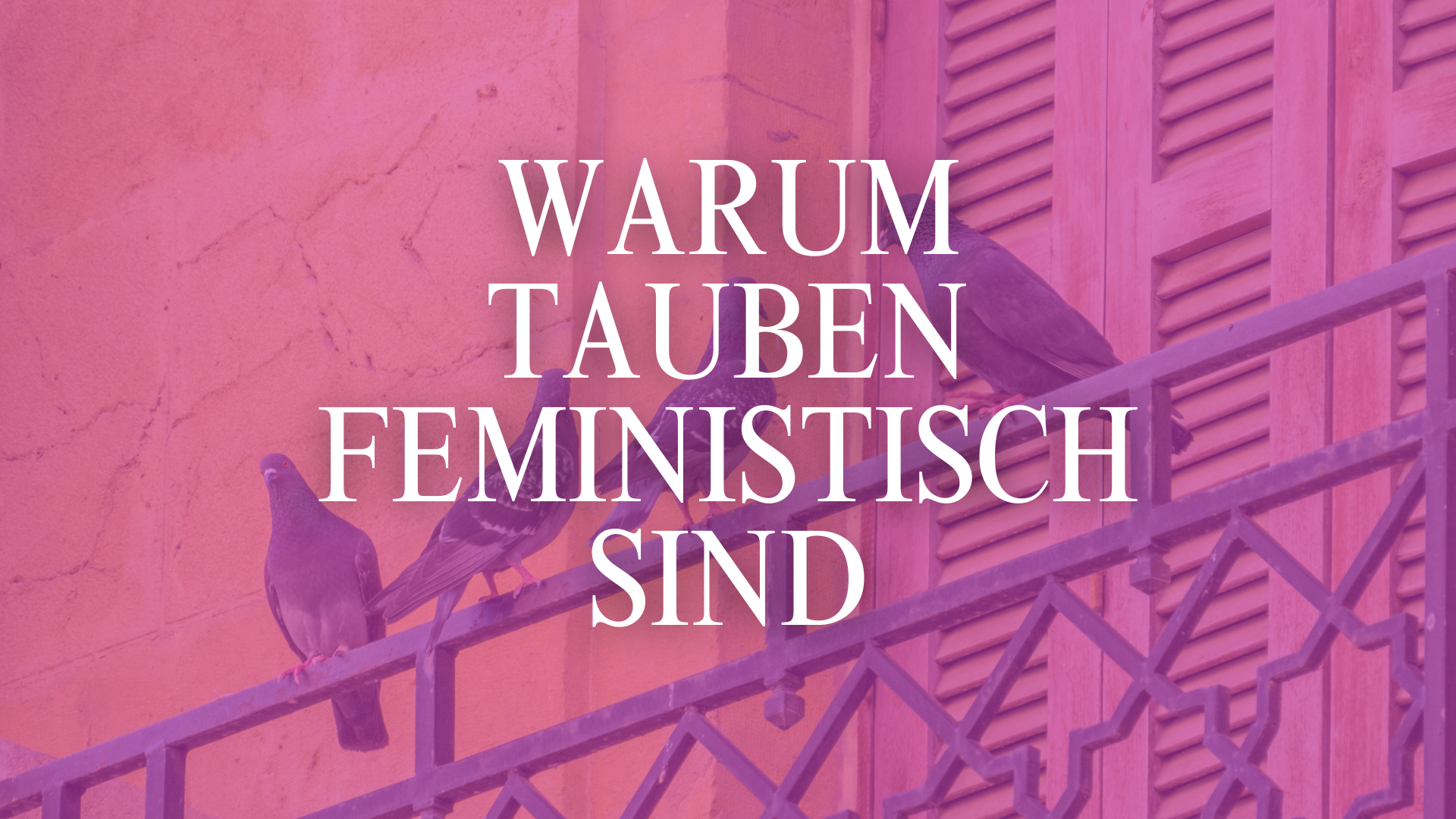 Was haben Tauben mit Feminismus zu tun?